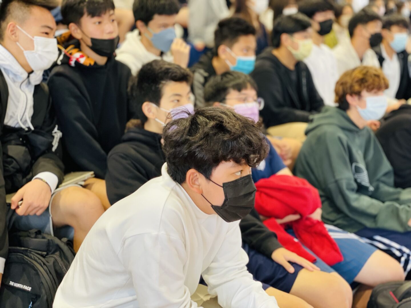 Rights and Laws on Personal Relationships